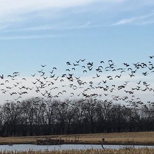 Meet your Posher, Lee
